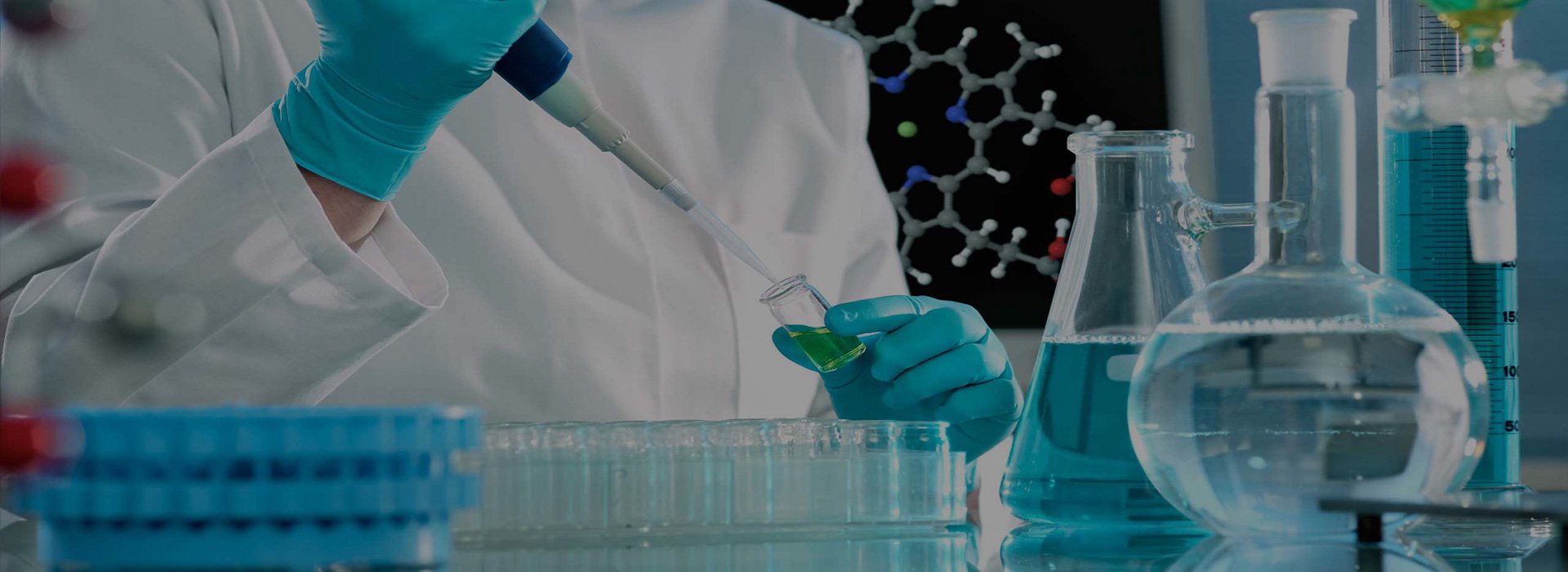 Nettilab